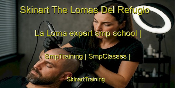 Skinart The Lomas Del Refugio  La Loma expert smp school | SmpTraining | SmpClasses | SkinartTraining-Mexico